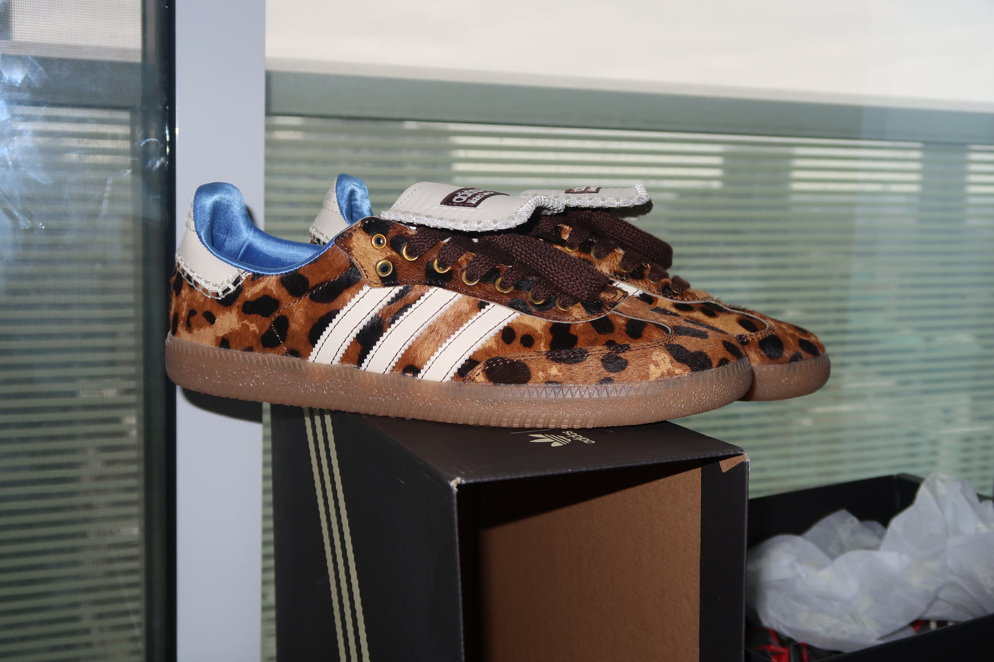 Adidas leopard wales bonner - Private property